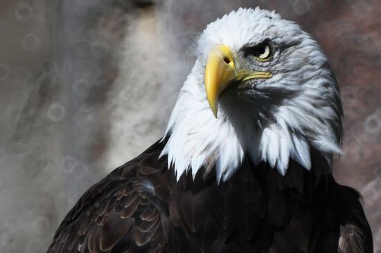 Московский зоопарк