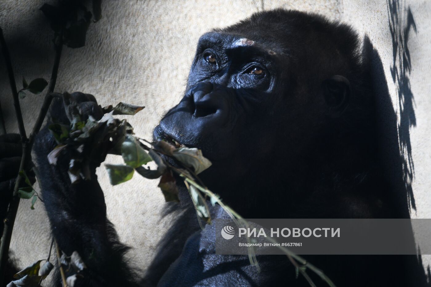 Фото недели