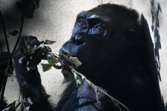 Фото недели