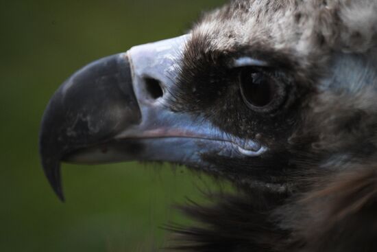 Московский зоопарк