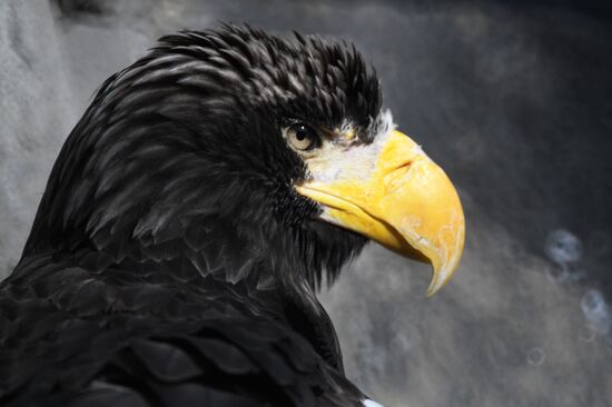 Московский зоопарк