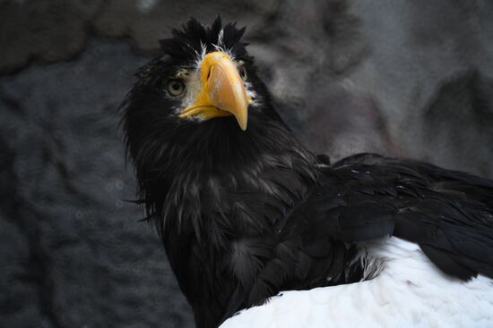 Московский зоопарк