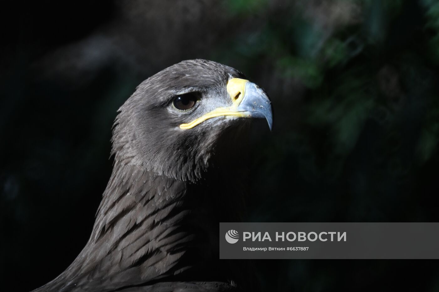 Московский зоопарк