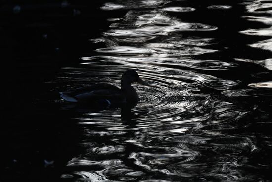 Московский зоопарк