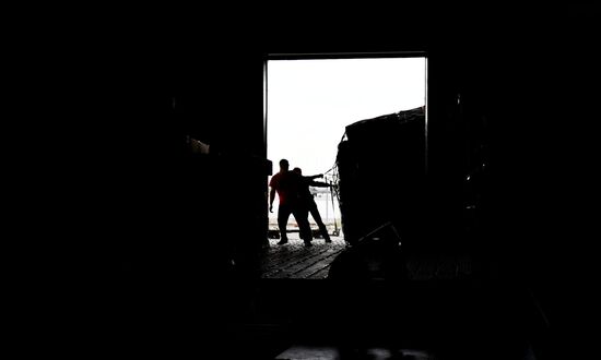 Поступление партии цветов к 1 сентября в Екатеринбург из Нидерландов