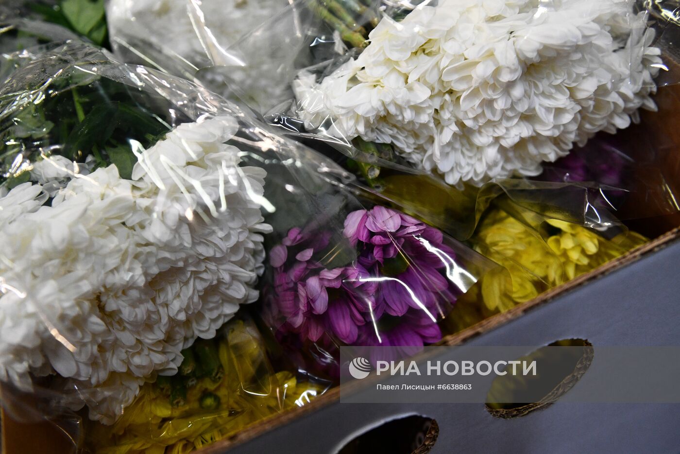 Поступление партии цветов к 1 сентября в Екатеринбург из Нидерландов