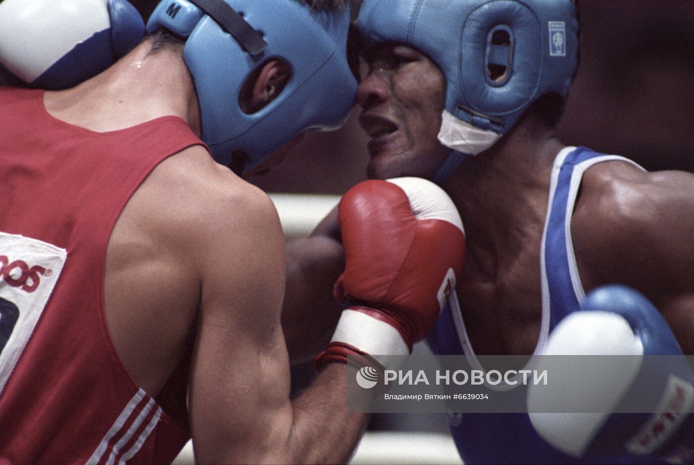 V чемпионат мира по боксу