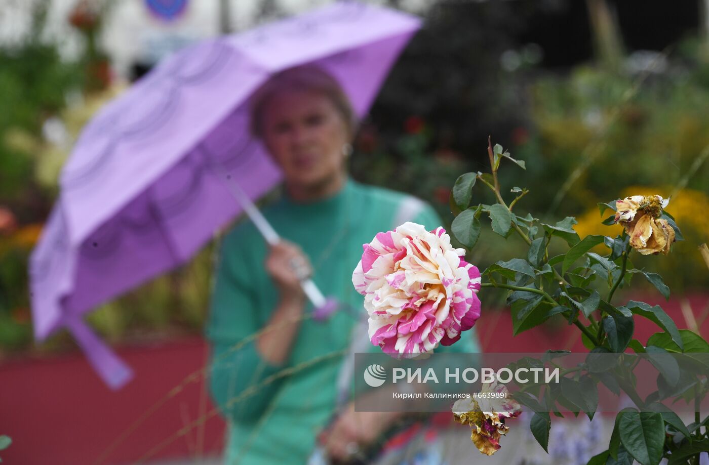 Фестиваль "Цветочный джем" в Москве 