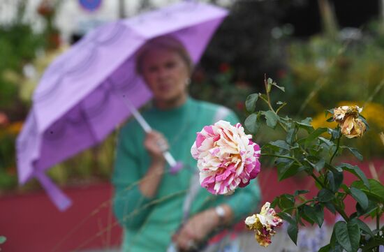 Фестиваль "Цветочный джем" в Москве 