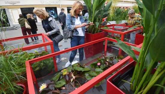 Фестиваль "Цветочный джем" в Москве 