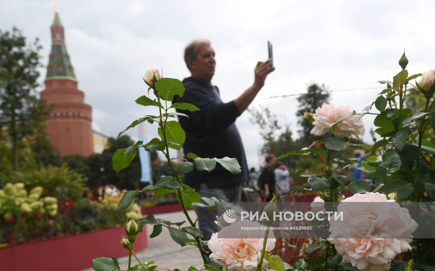 Фестиваль "Цветочный джем" в Москве 