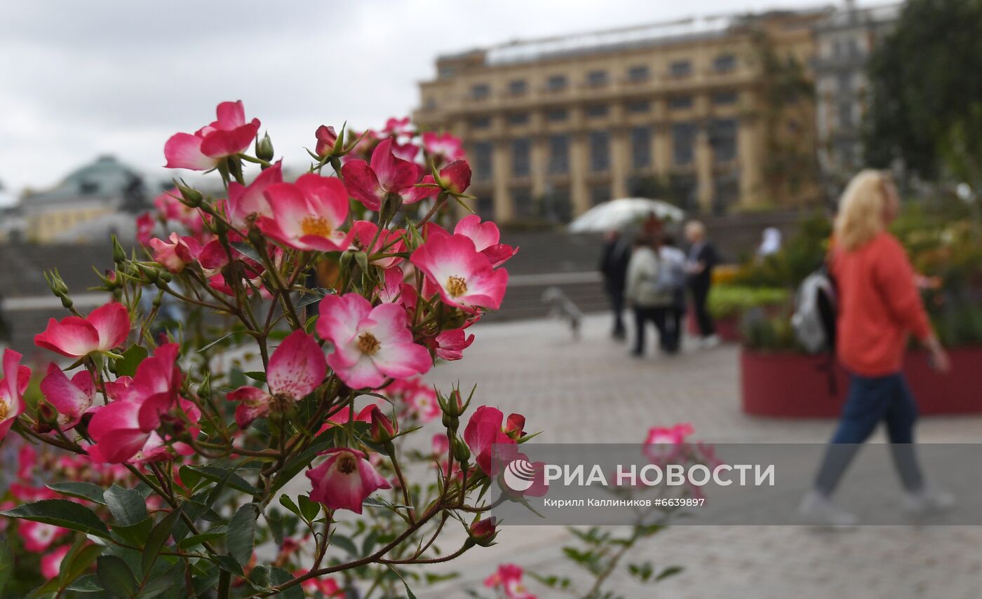 Фестиваль "Цветочный джем" в Москве 