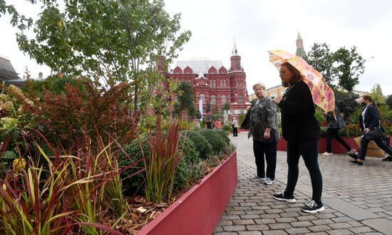 Фестиваль "Цветочный джем" в Москве 