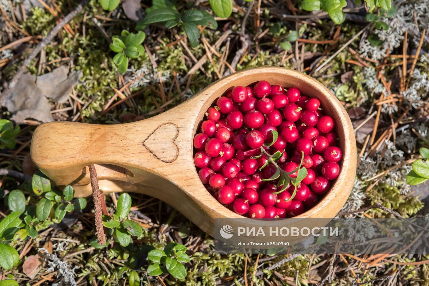 Регионы России. Карелия