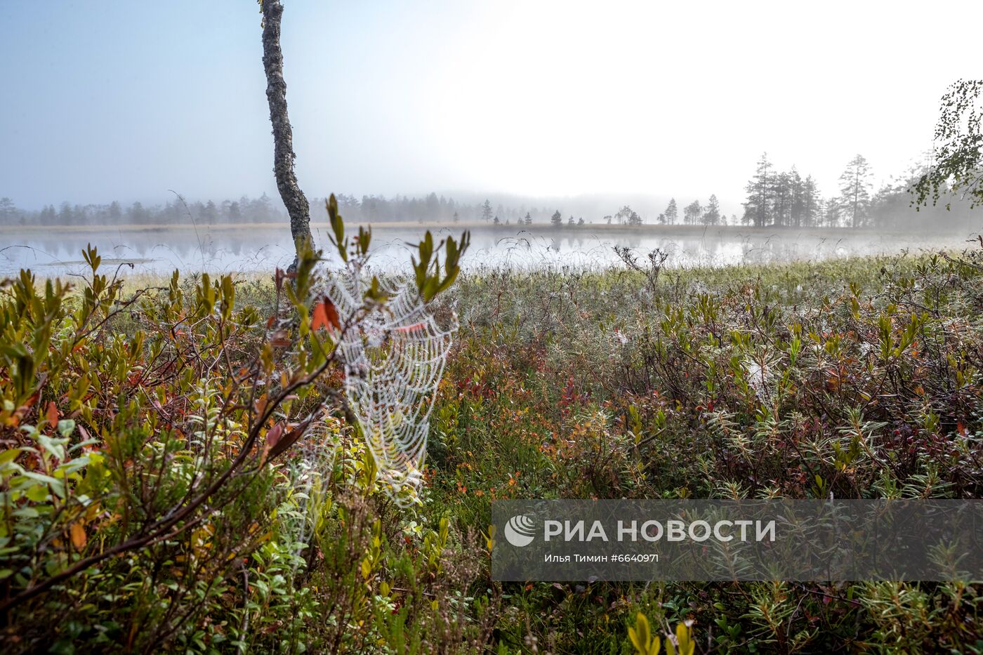 Регионы России. Карелия