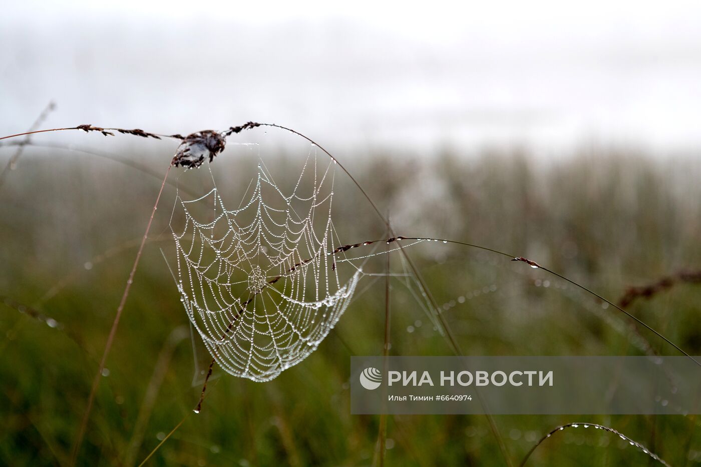 Регионы России. Карелия