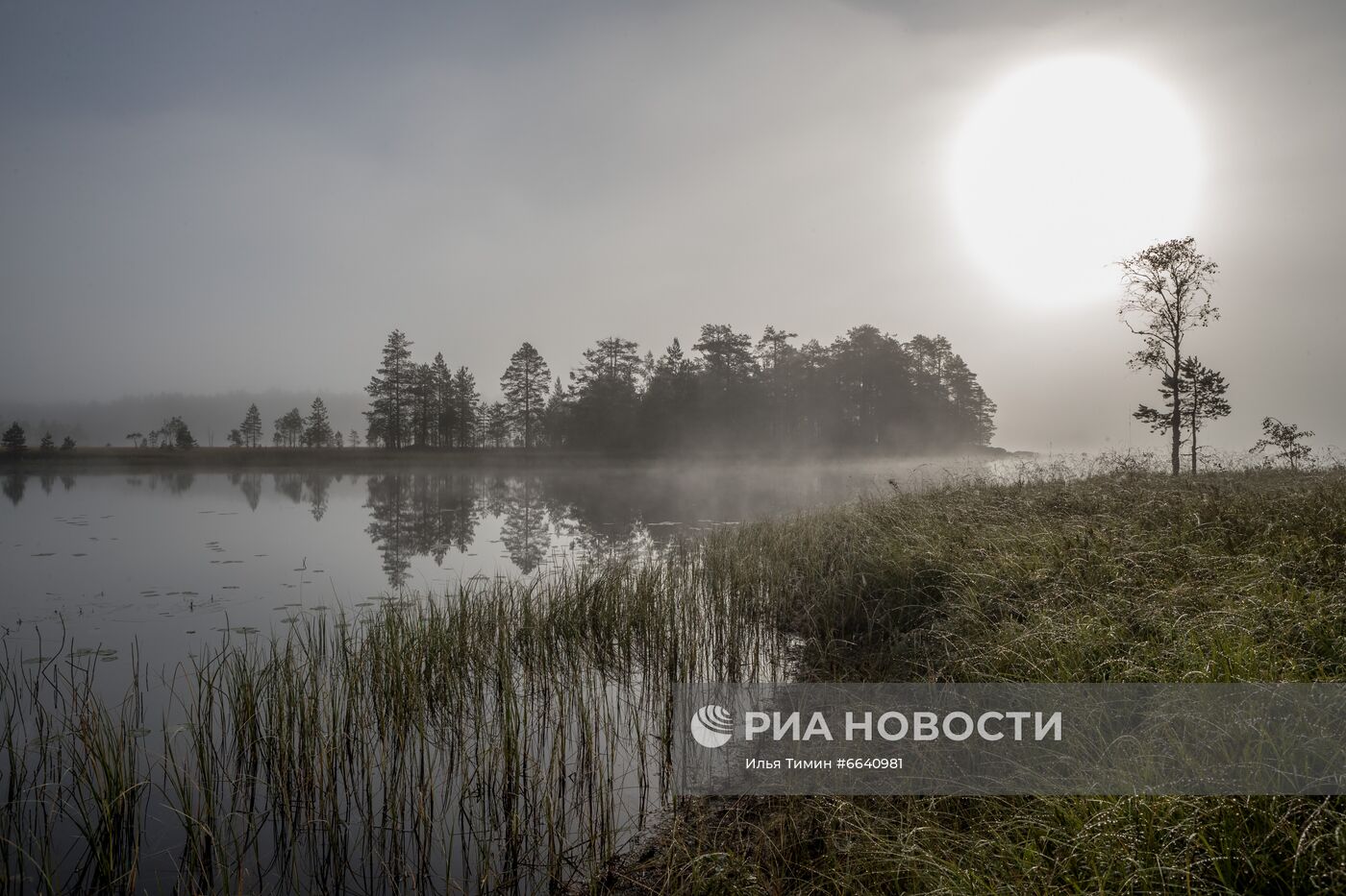Регионы России. Карелия