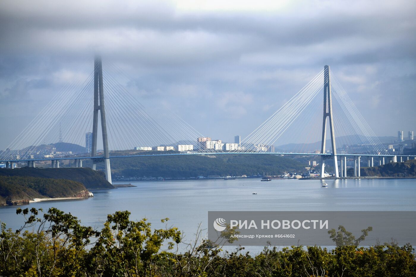 ВЭФ-2021. Работа форума