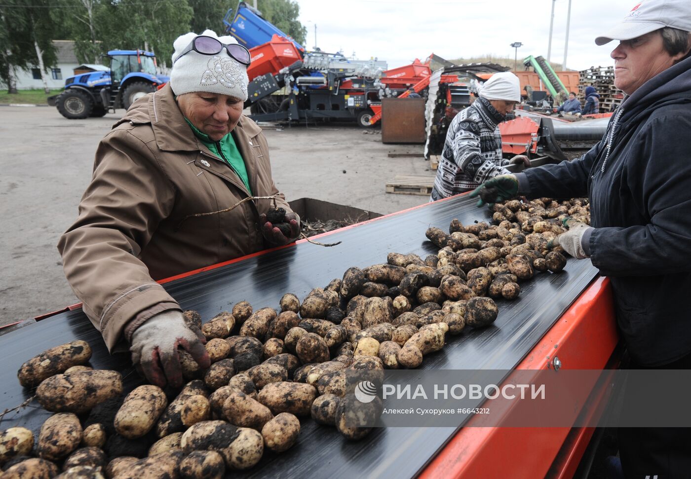 Пенсии в волжском. Сельский стаж.