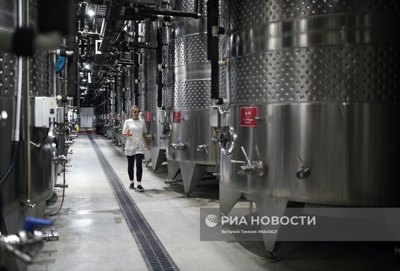 Производство вина на винодельне "Кубань-вино"