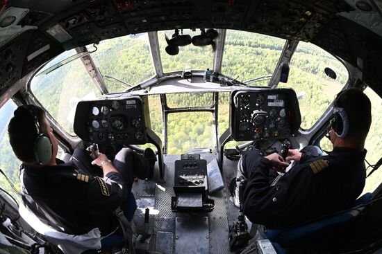 Досрочное голосование на выборах депутатов Госдумы в Тюменской области