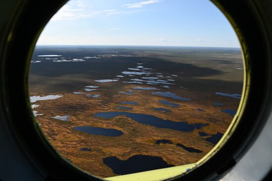 Досрочное голосование на выборах депутатов Госдумы в Тюменской области