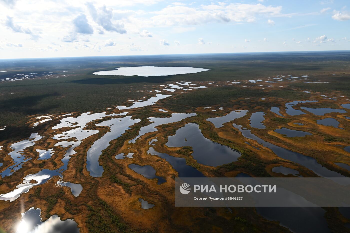 Досрочное голосование на выборах депутатов Госдумы в Тюменской области
