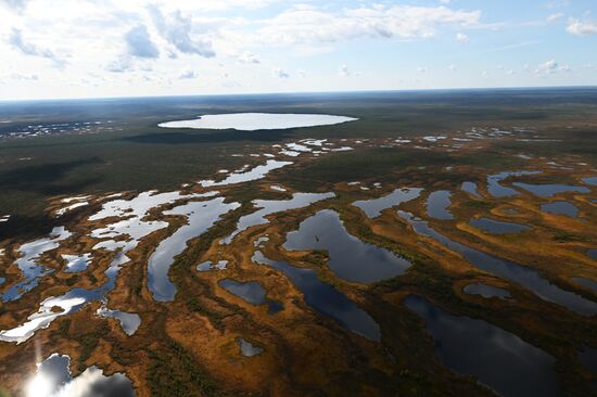 Досрочное голосование на выборах депутатов Госдумы в Тюменской области