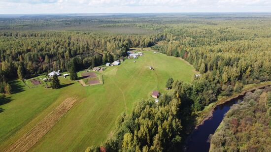 Досрочное голосование на выборах депутатов Госдумы в Тюменской области