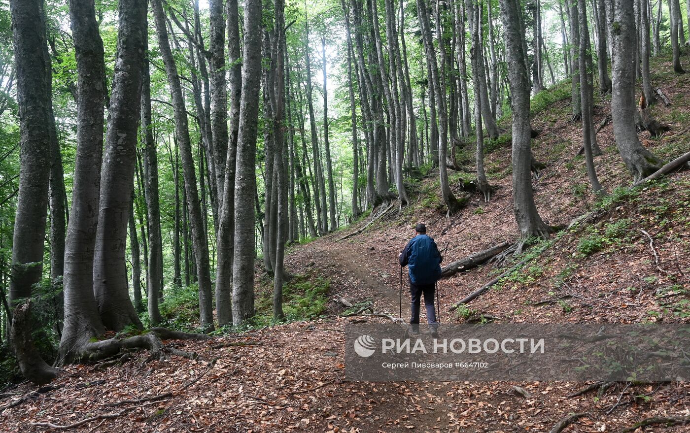 Кавказский государственный природный биосферный заповедник им. Шапошникова