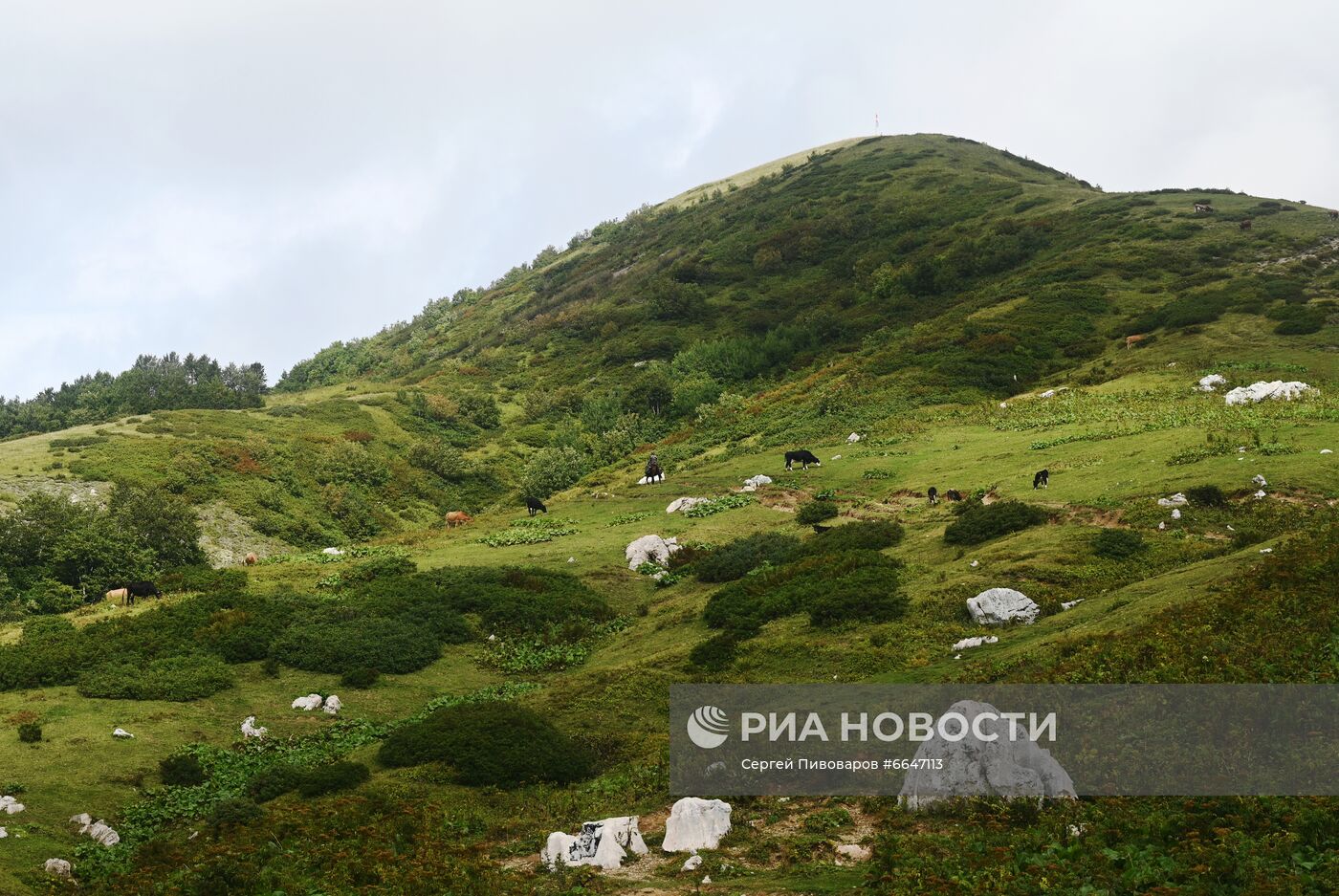 Кавказский государственный природный биосферный заповедник им. Шапошникова
