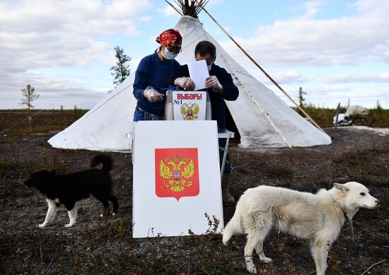 Досрочные выборы депутатов ГД в регионах России