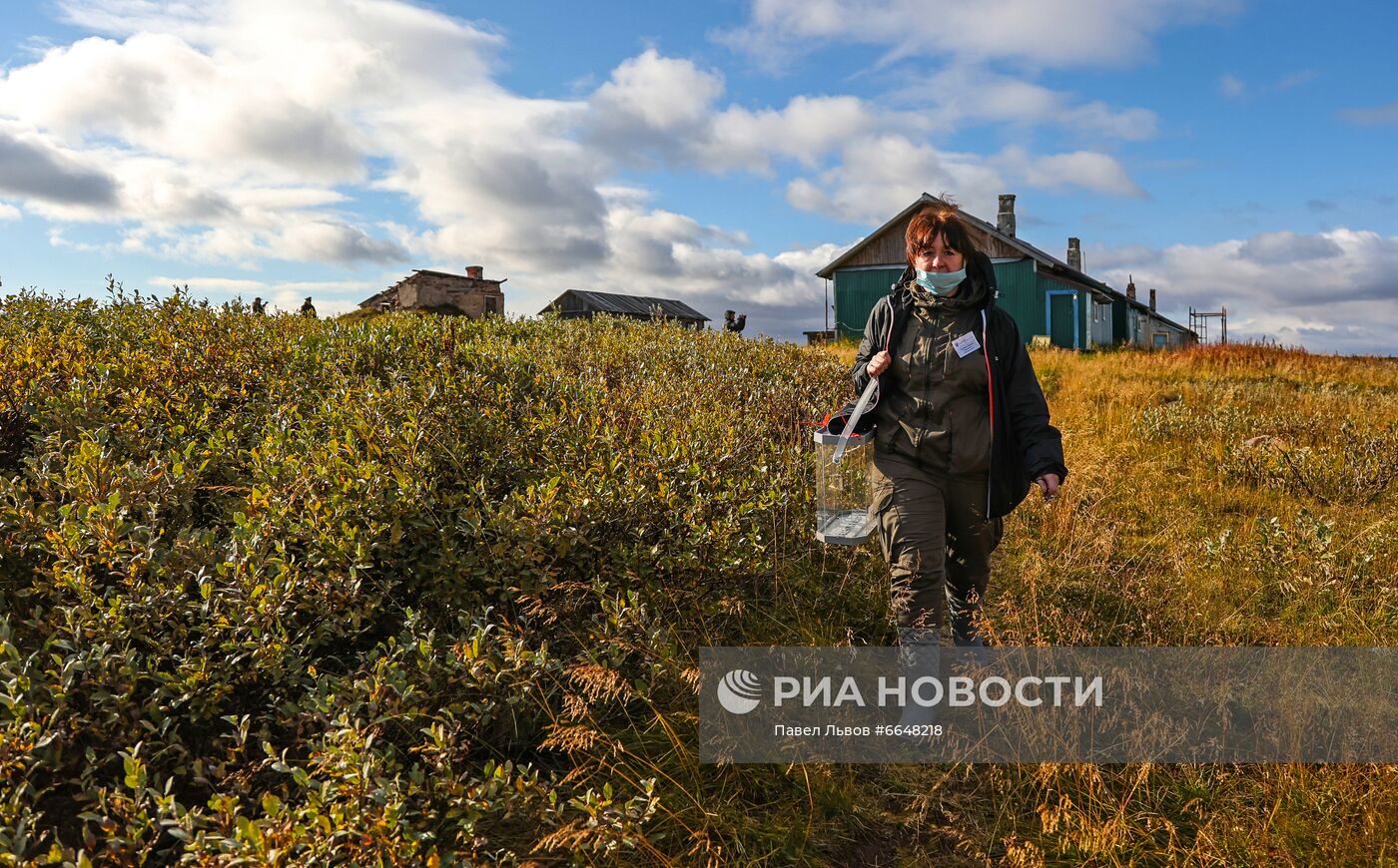 Досрочные выборы депутатов ГД в регионах России