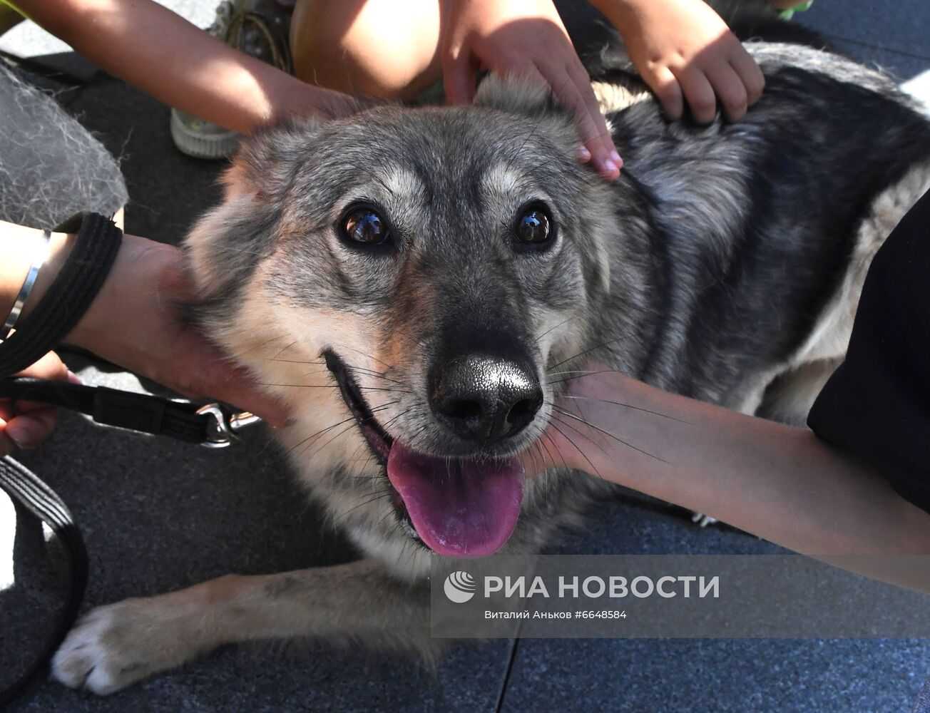 Фото недели