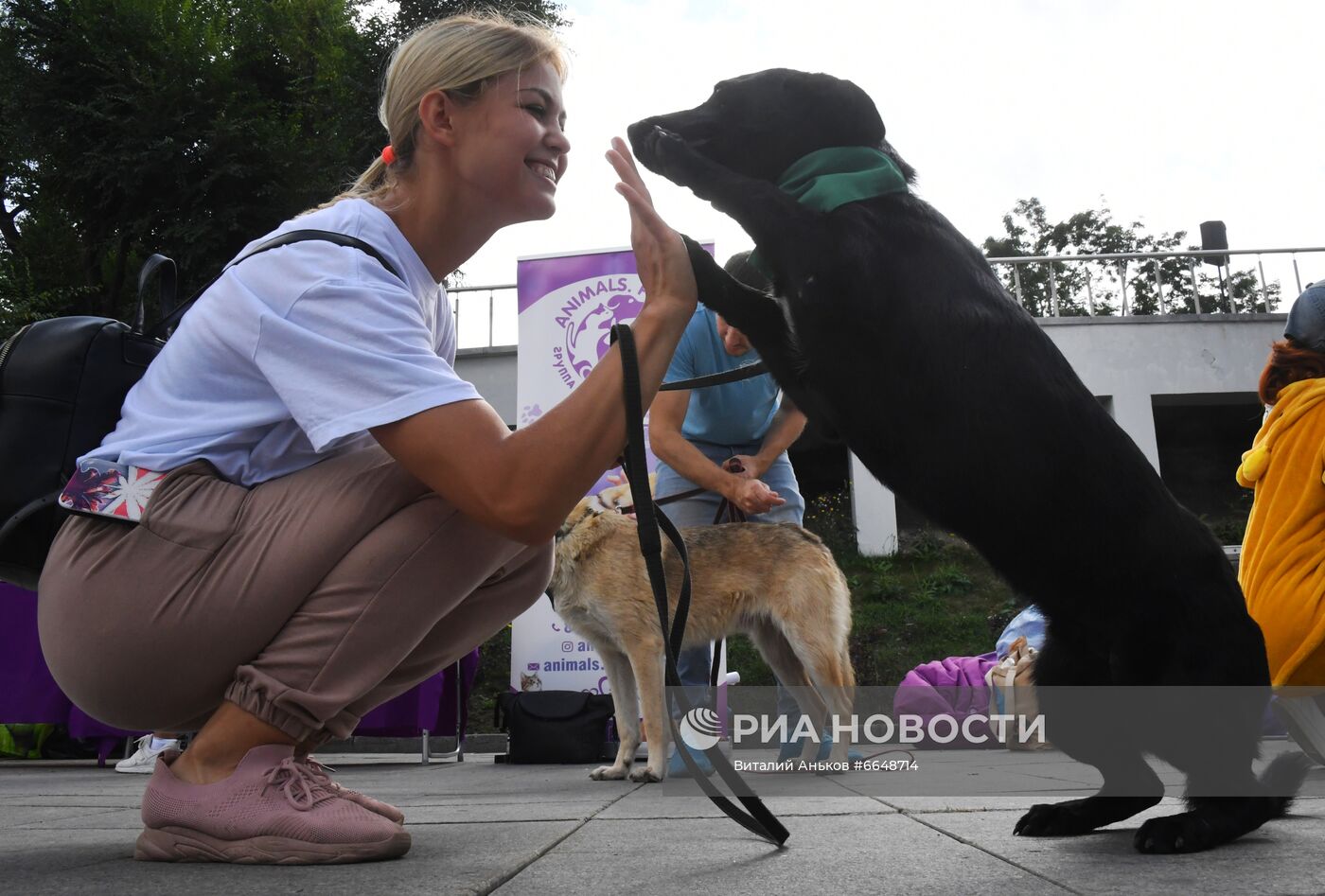Акция помощи бездомным животным во Владивостоке