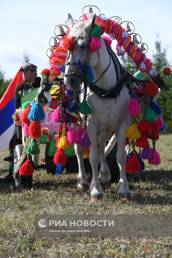 Конно-спортивный праздник "День коня"