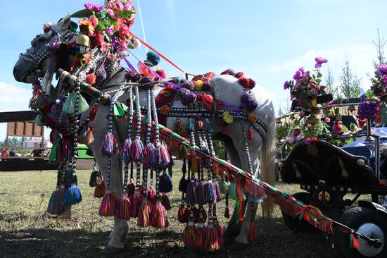 Конно-спортивный праздник "День коня"