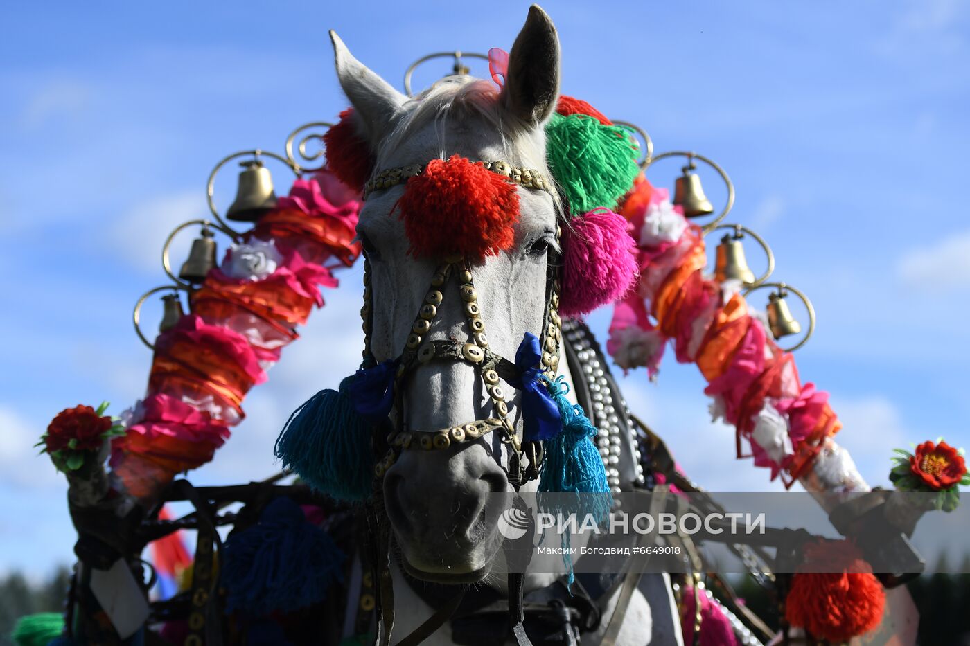 Конно-спортивный праздник "День коня"