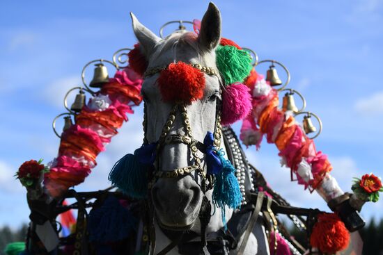 Конно-спортивный праздник "День коня"