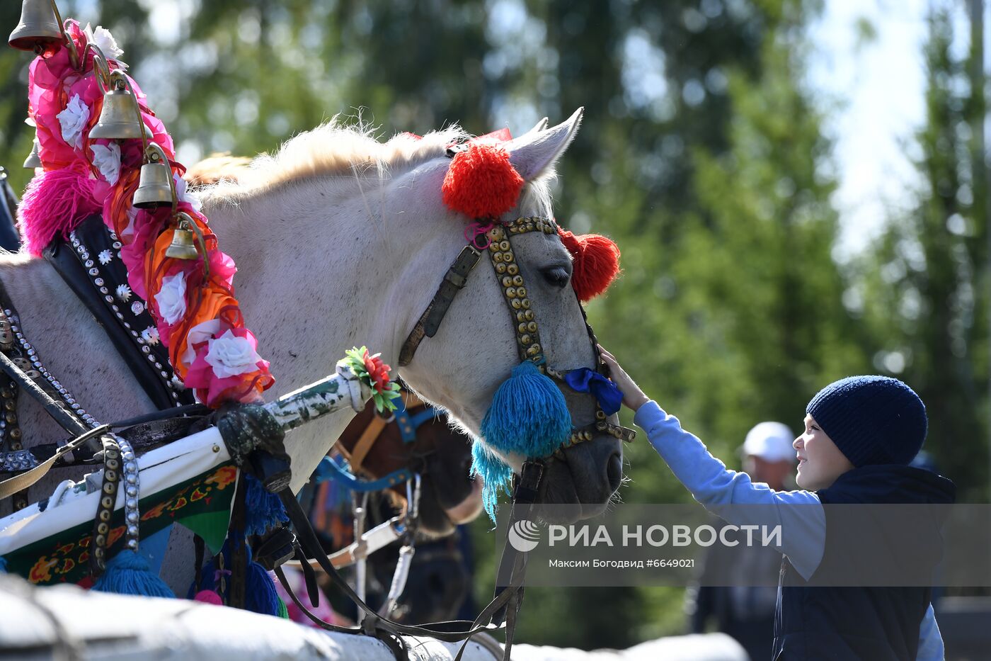 Конно-спортивный праздник "День коня"