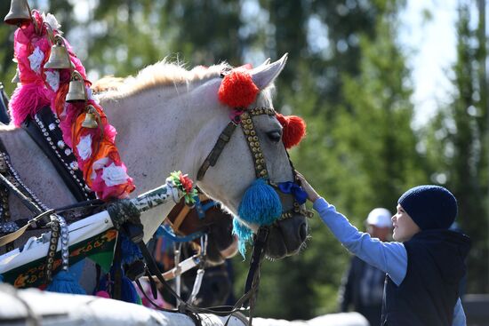 Конно-спортивный праздник "День коня"