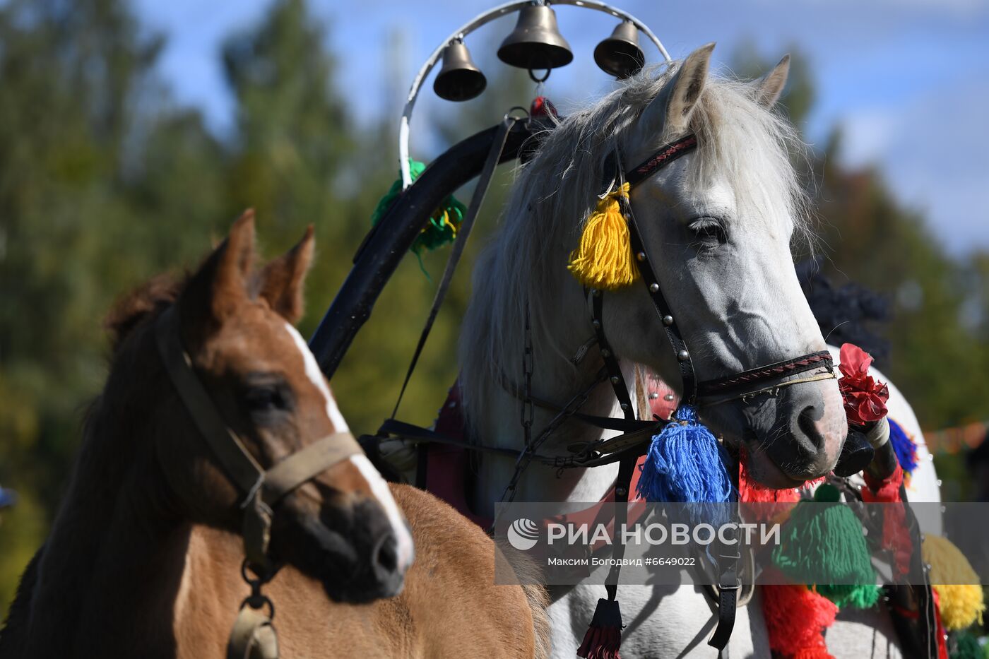 Конно-спортивный праздник "День коня"