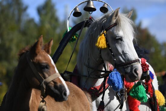 Конно-спортивный праздник "День коня"