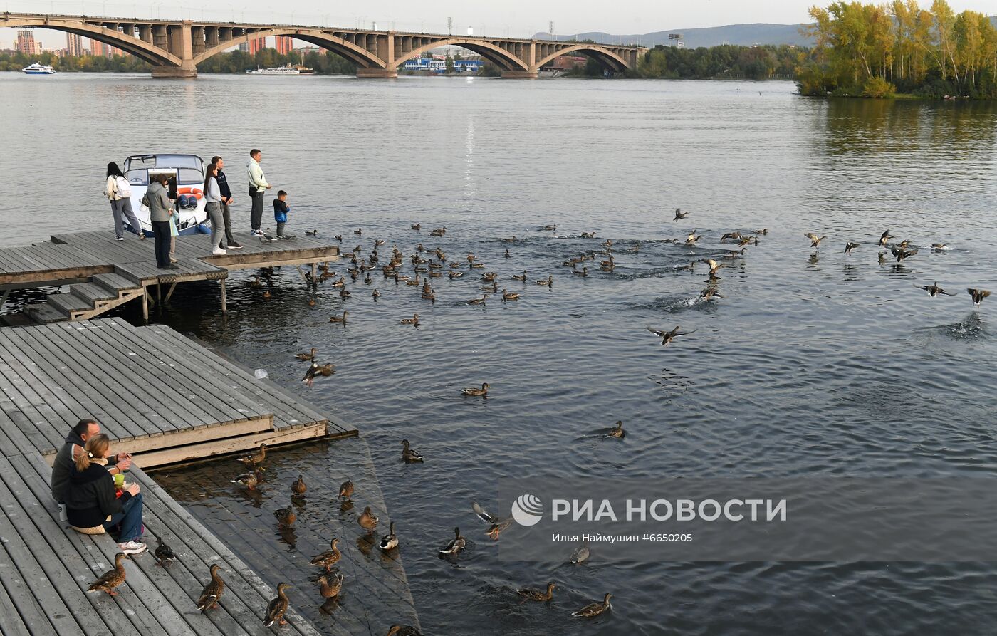 Повседневная жизнь в Красноярске после ослабления ограничений