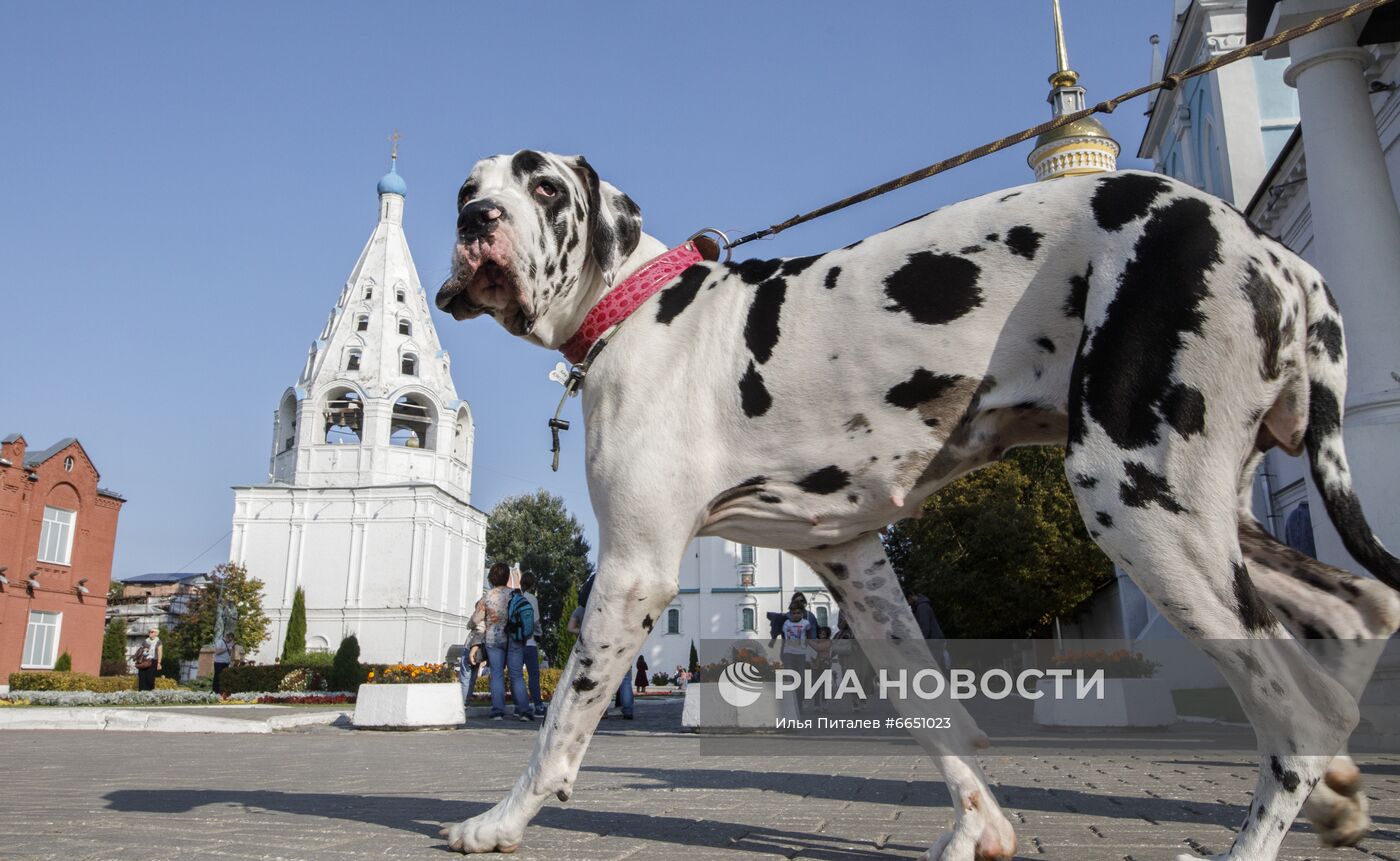 #ОткрываяРоссию. Коломна 