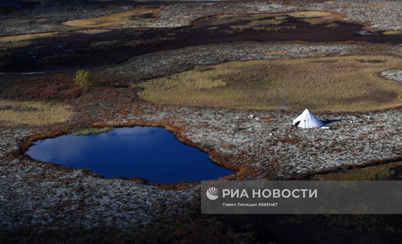 Регионы России. Ямало-Ненецкий автономный округ