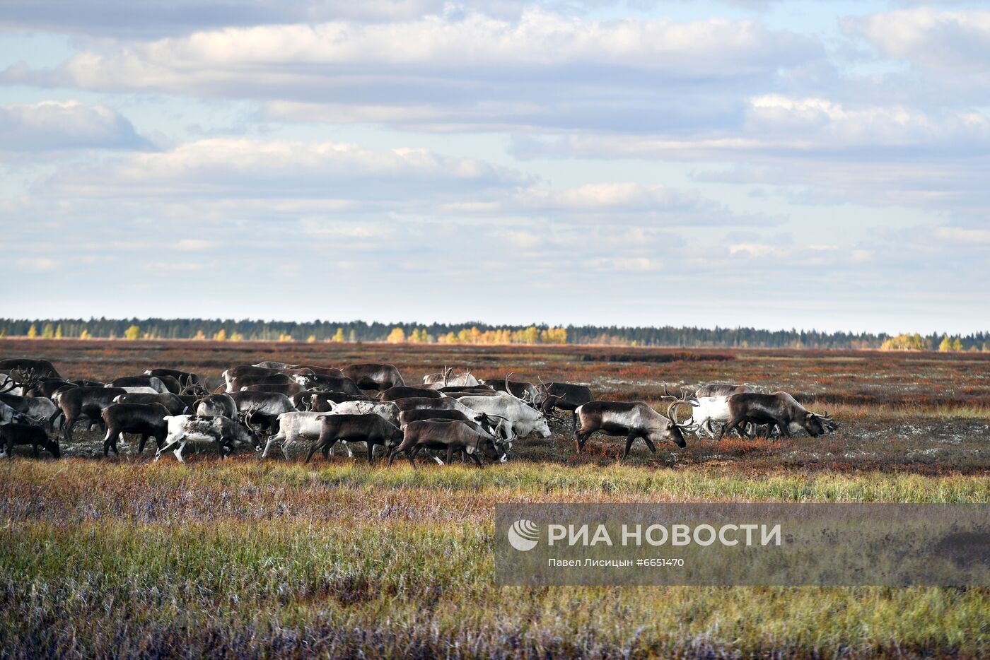 Регионы России. Ямало-Ненецкий автономный округ