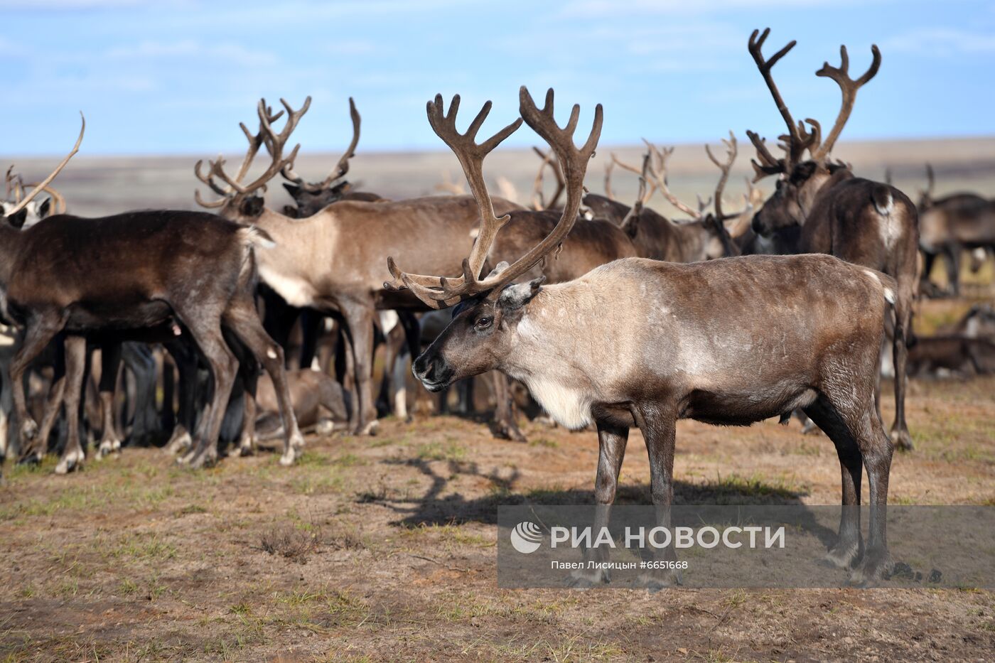 Регионы России. Ямало-Ненецкий автономный округ