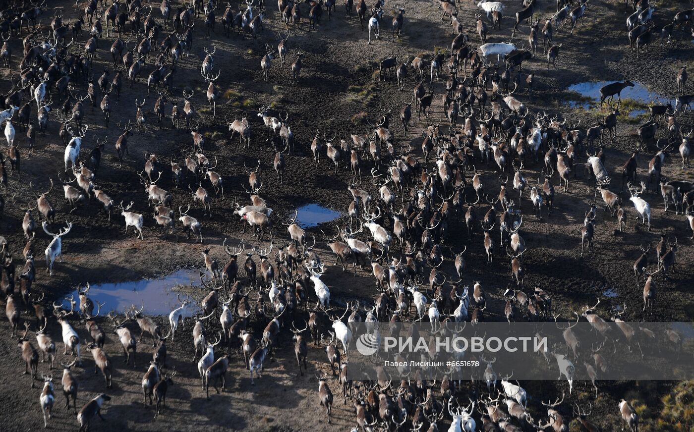 ФОТО МЕСЯЦА