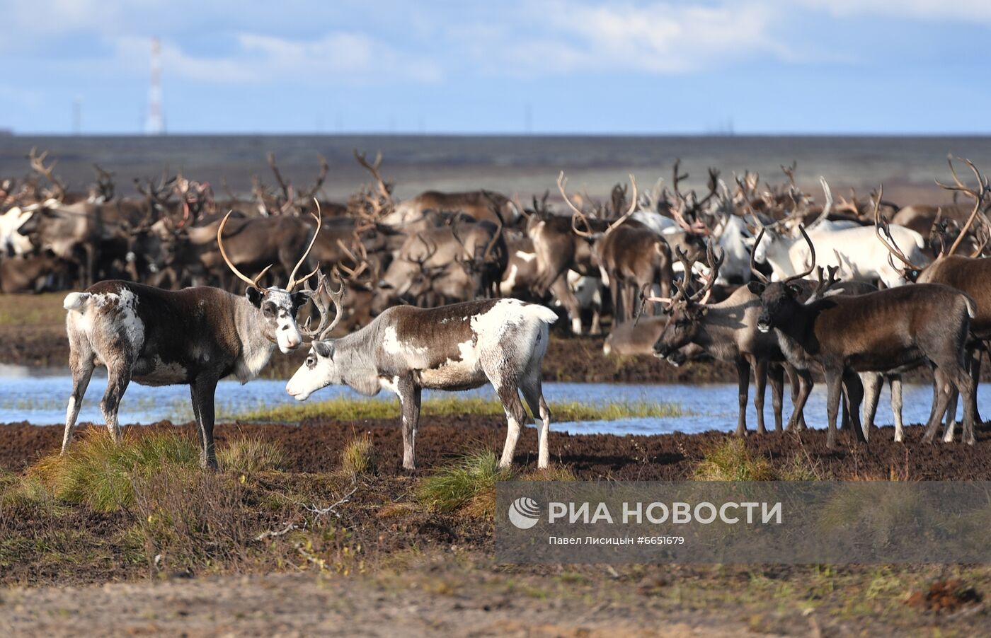 Регионы России. Ямало-Ненецкий автономный округ